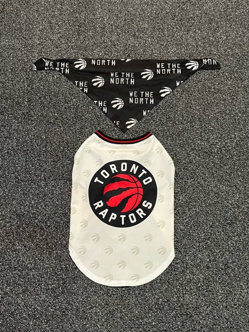 Small Dog Toronto Raptors Jersey & Bandana Set